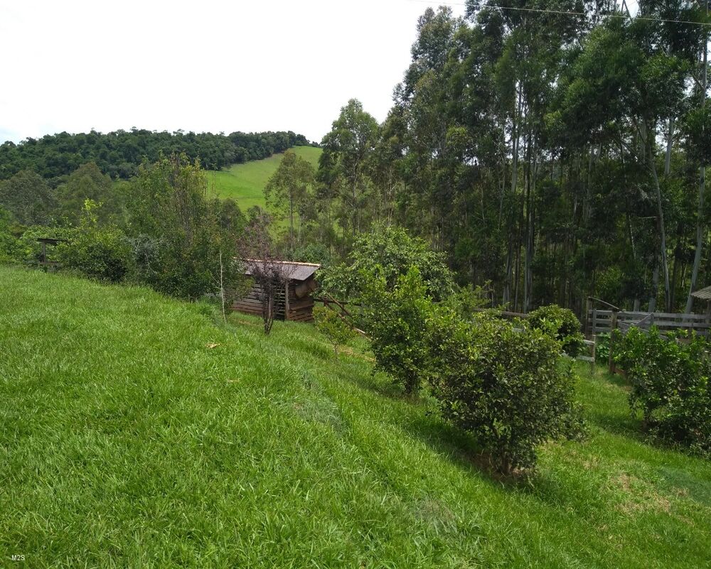 Sítio, 3 quartos, 4 m² - Foto 19