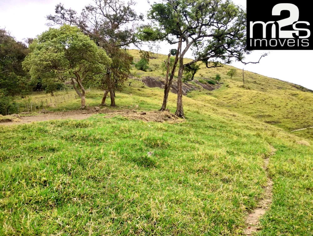 Sítio, 7 hectares - Foto 4