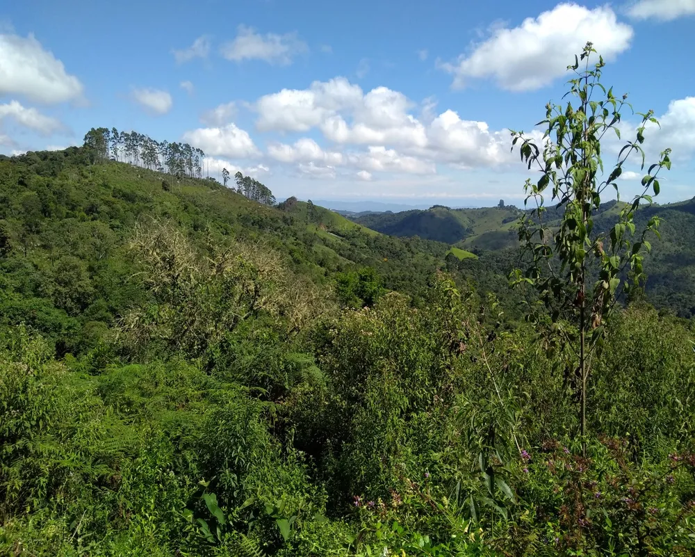 Chácara - Foto 9