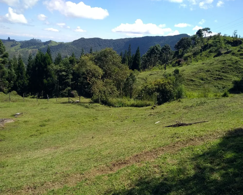 Chácara - Foto 1
