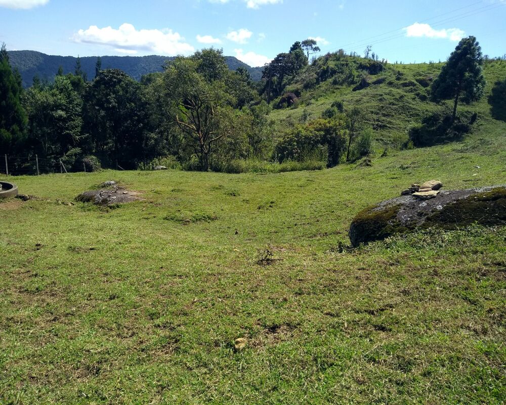 Chácara à venda, 30000m² - Foto 1