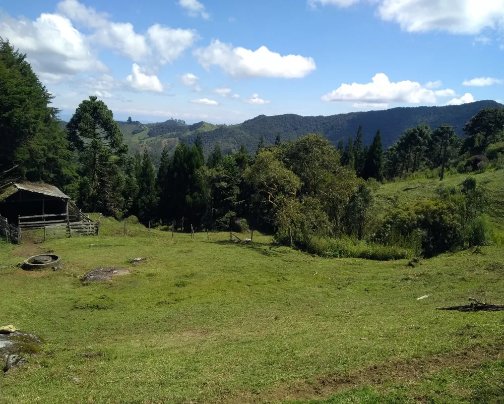 Chácara - Foto 4