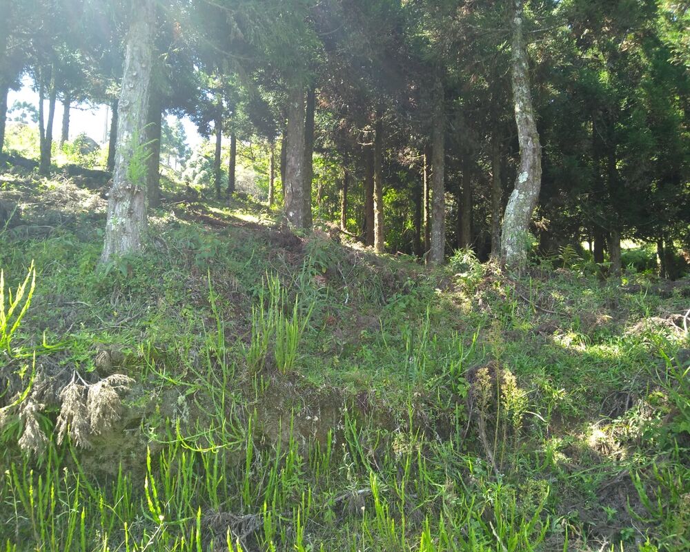 Chácara à venda, 30000m² - Foto 3