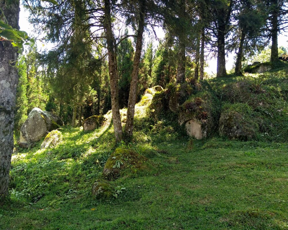 Chácara à venda, 30000m² - Foto 4