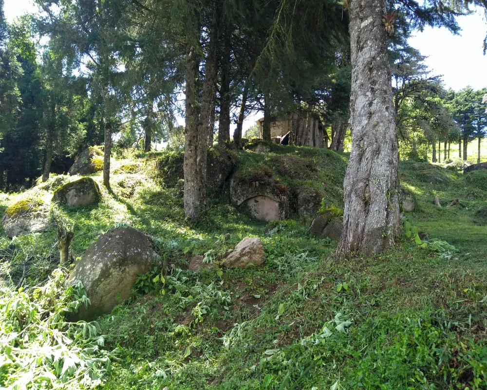 Chácara - Foto 7