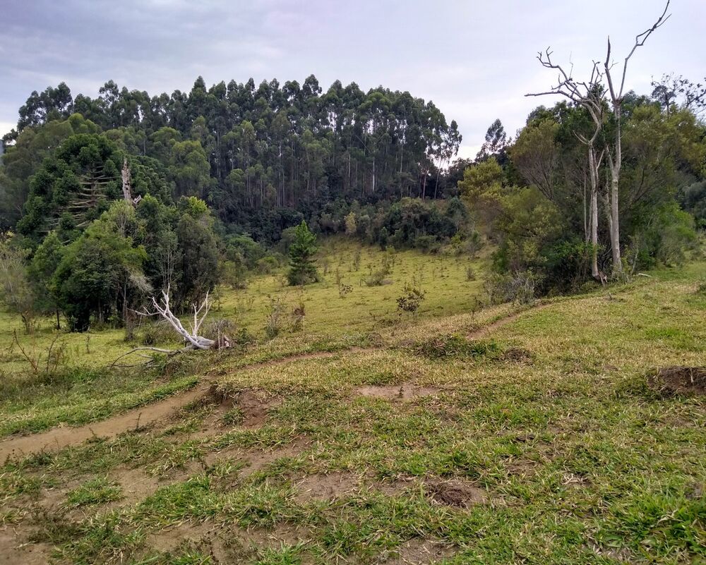 Chácara à venda, 30000m² - Foto 2
