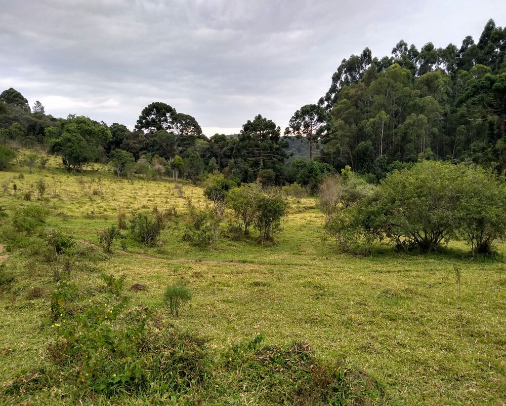 Chácara à venda, 30000m² - Foto 1