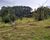 Chácara, 3 hectares - Foto 2