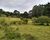 Chácara, 3 hectares - Foto 1