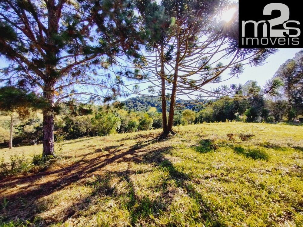 Terreno - Foto 2