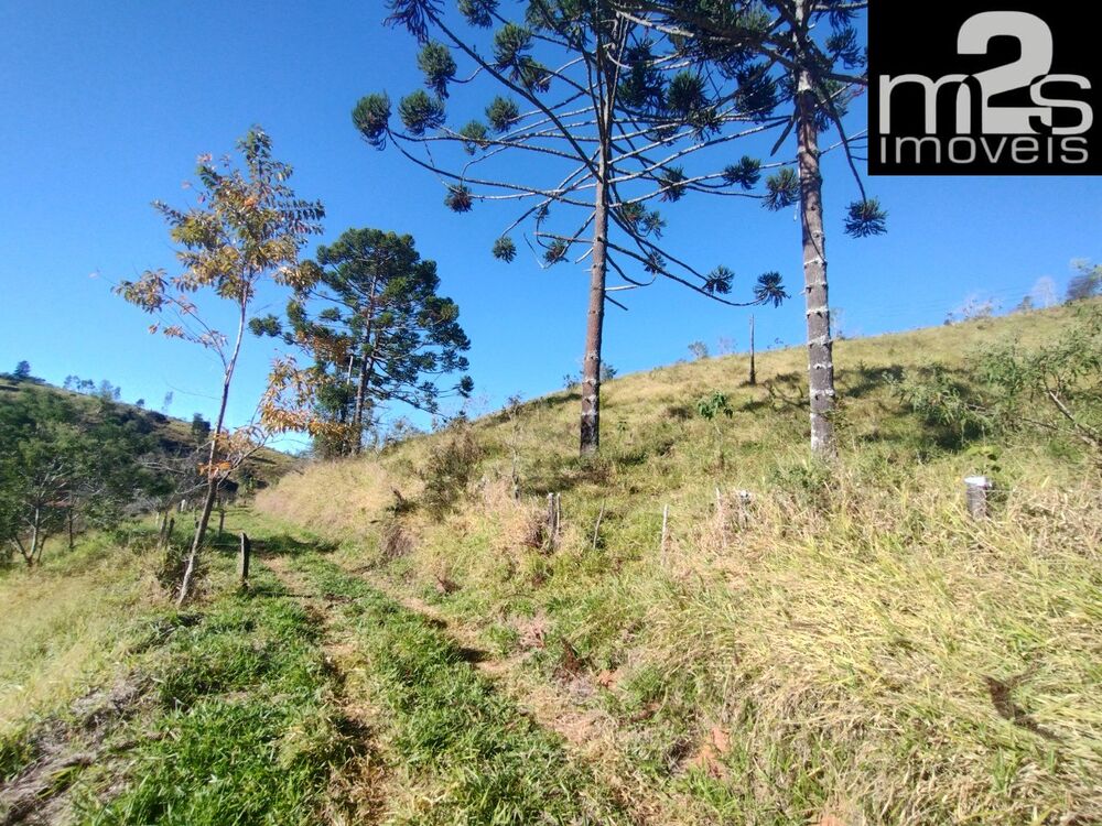 Sítio, 2 quartos, 90 m² - Foto 5