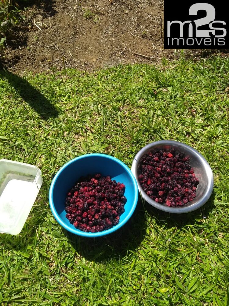 Sítio, 2 quartos, 9 hectares - Foto 8