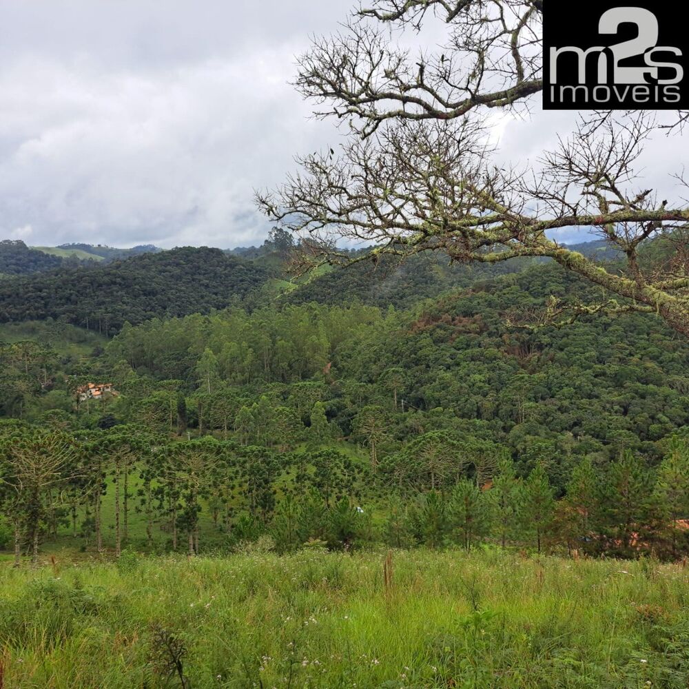 Sítio à venda - Foto 4