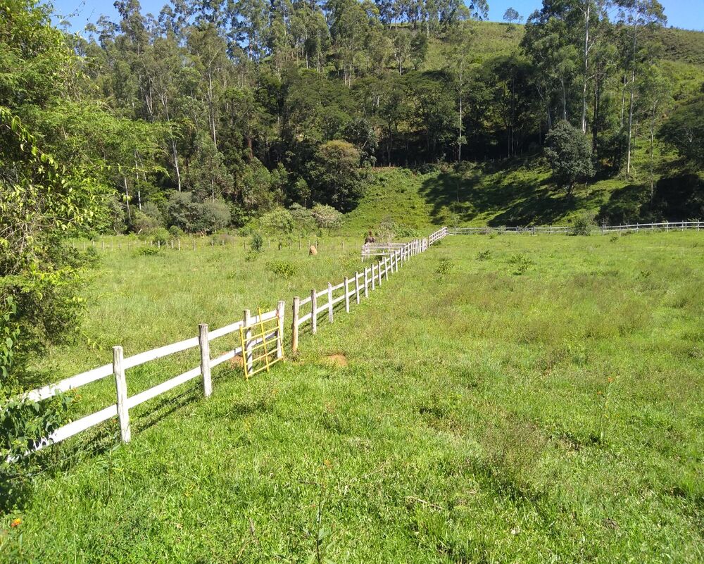 Sítio, 3 quartos - Foto 28