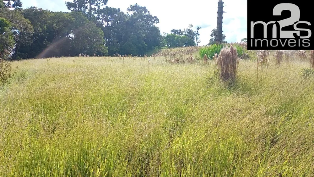 Terreno - Foto 7