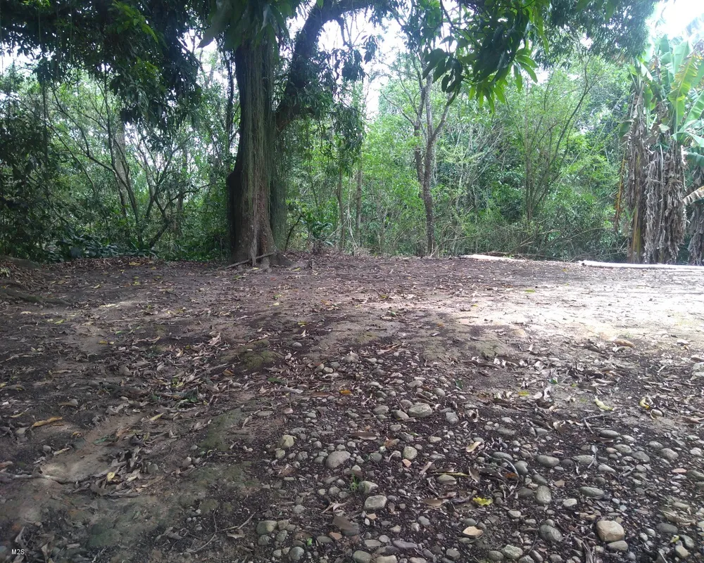 Sítio, 2 quartos - Foto 5