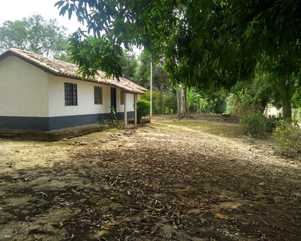 Sítio, 2 quartos - Foto 4