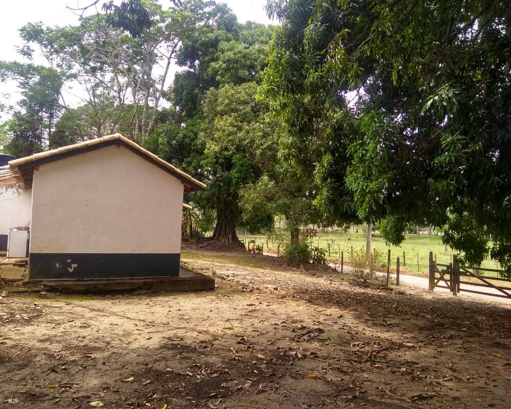 Sítio, 2 quartos - Foto 2