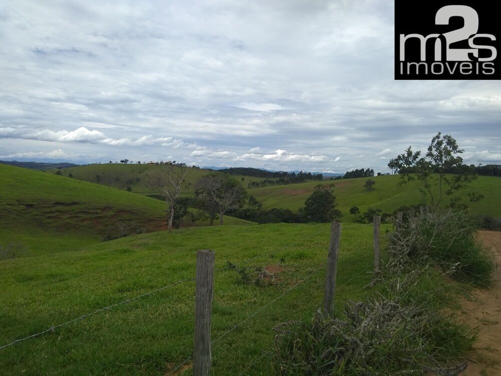 Fazenda à venda com 9 quartos - Foto 7