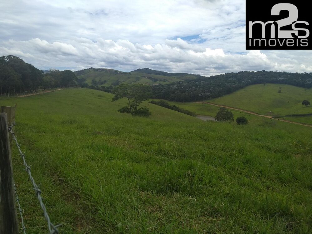 Fazenda à venda com 9 quartos - Foto 6