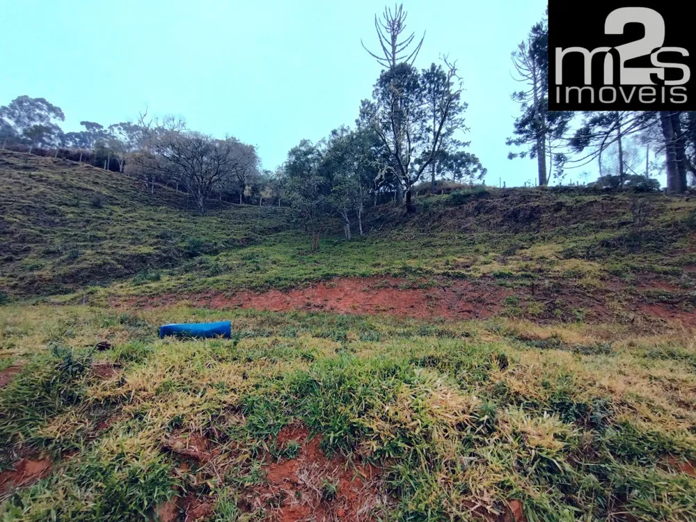 Chácara, 2 hectares - Foto 8