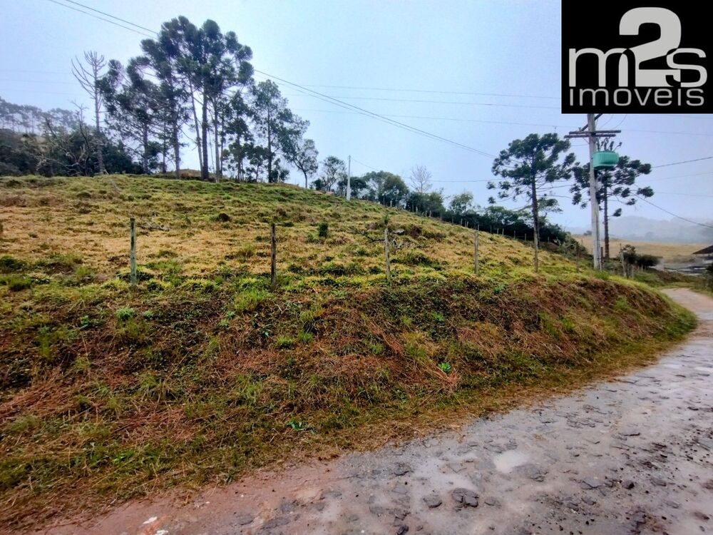 Chácara, 2 hectares - Foto 3