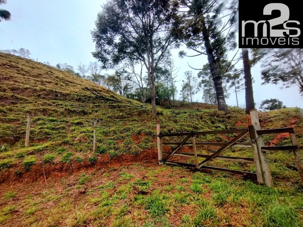 Chácara, 2 hectares - Foto 7
