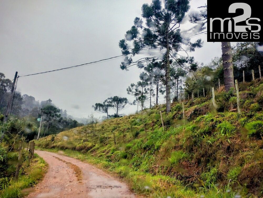 Chácara, 2 hectares - Foto 4