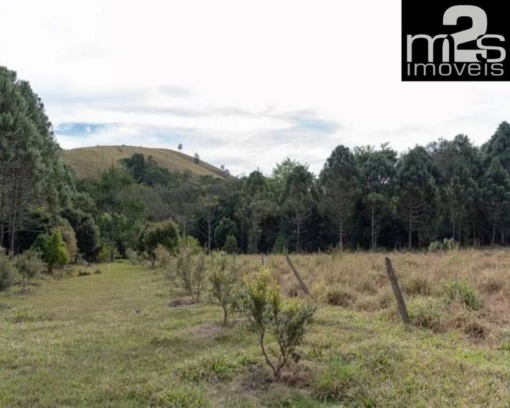 Sítio, 6 quartos, 1570 m² - Foto 12