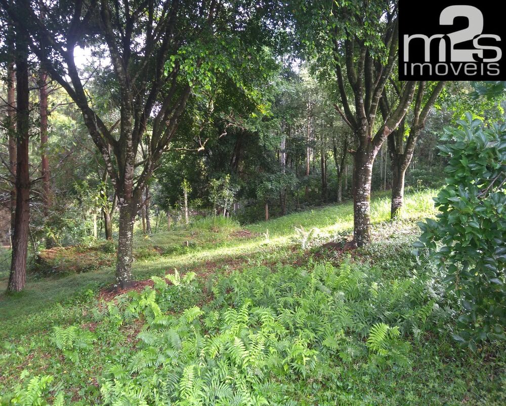 Sítio, 6 quartos, 1570 m² - Foto 10