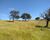 Fazenda-Sítio-Chácara - Foto 2
