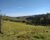 Fazenda-Sítio-Chácara - Foto 3