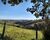 Fazenda-Sítio-Chácara - Foto 4