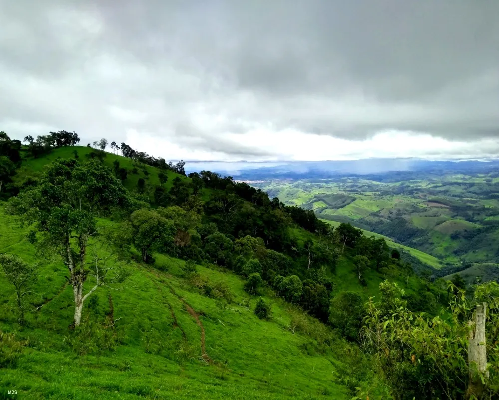 Sítio, 19 hectares - Foto 4