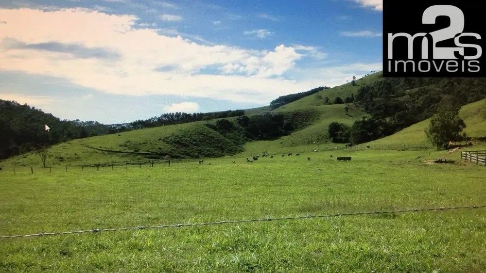 Fazenda, 4 quartos - Foto 6