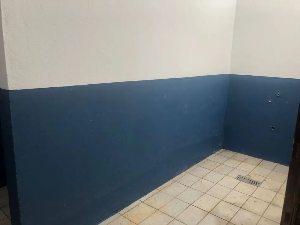 Loja-Salão, 250 m² - Foto 3