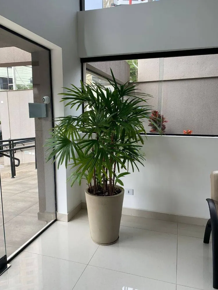 Sala-Conjunto, 34 m² - Foto 1