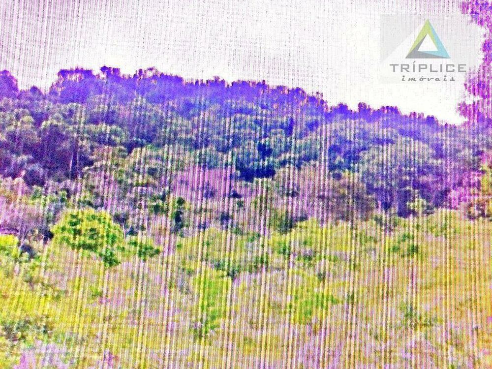 Loteamento e Condomínio, 9475 m² - Foto 5