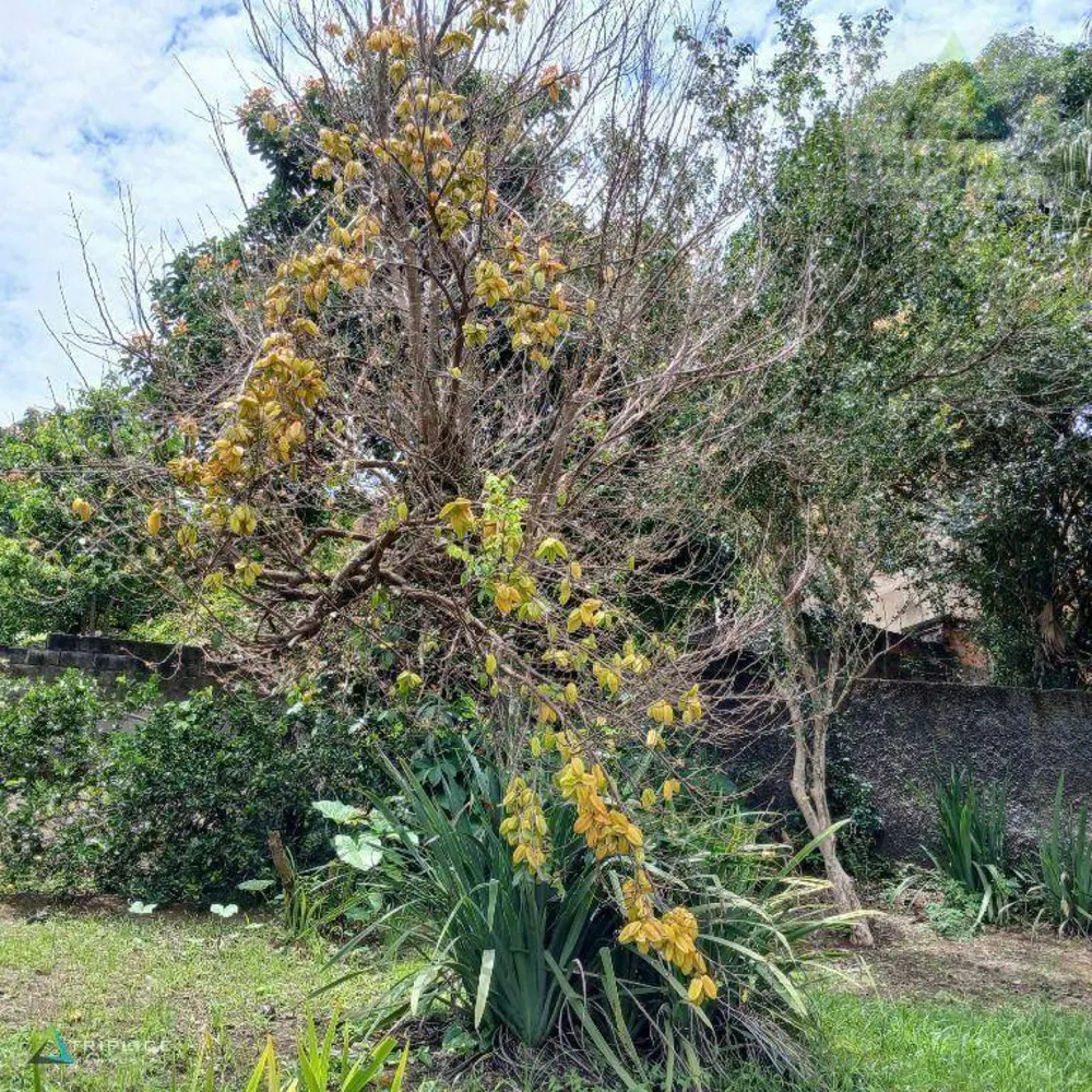 Casa, 3 quartos, 190 m² - Foto 12