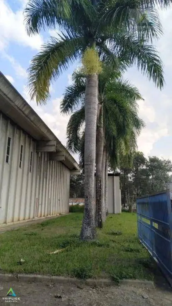 Depósito-Galpão, 4000 m² - Foto 3