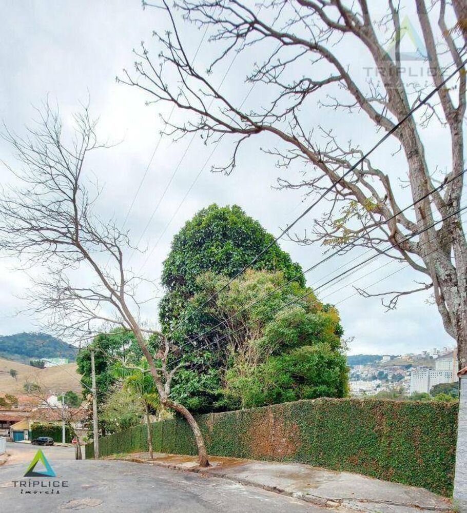 Terreno, 739 m² - Foto 2