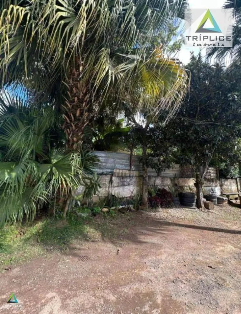 Terreno, 1000 m² - Foto 8