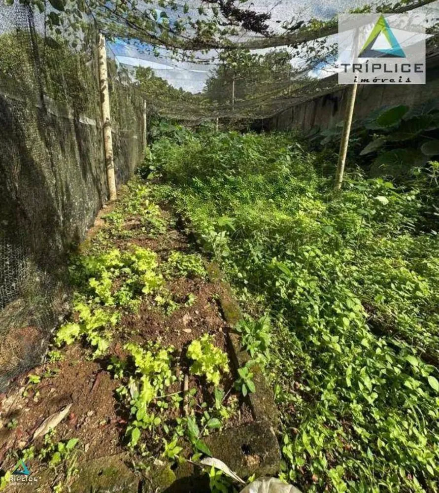 Terreno, 1000 m² - Foto 9