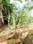Terreno, 1000 m² - Foto 4