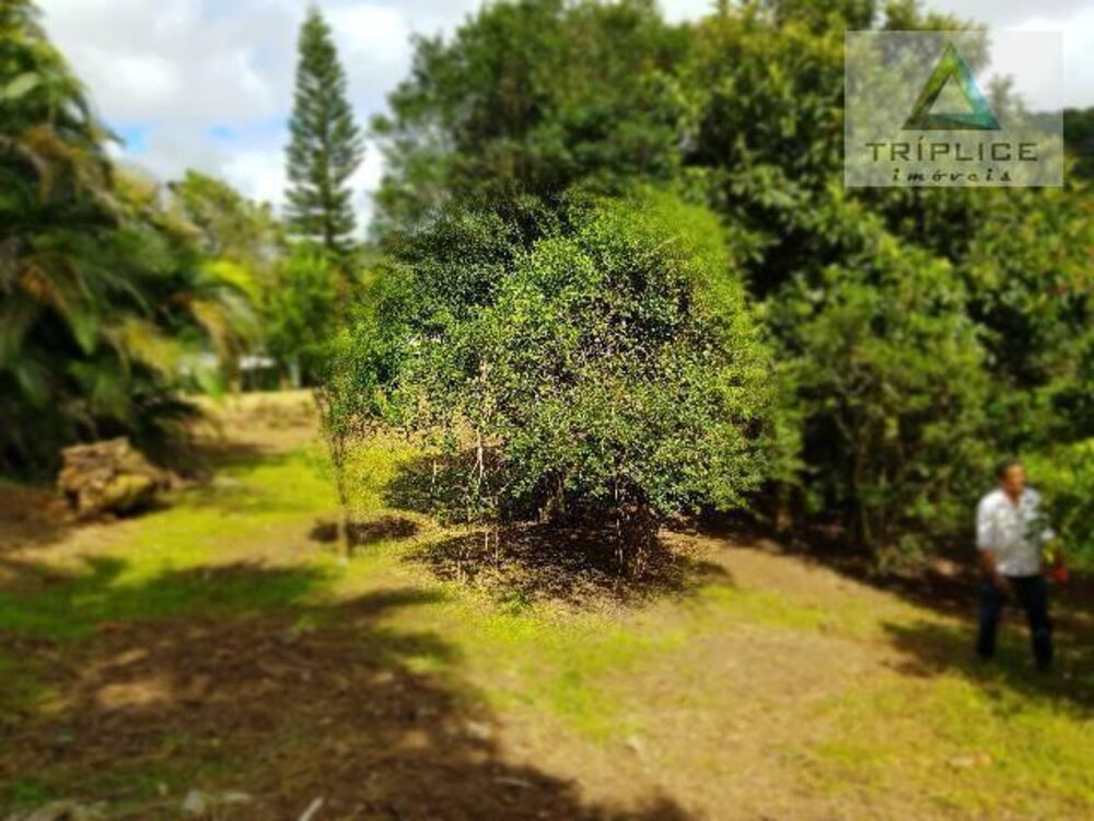 Casa, 7 quartos, 300 m² - Foto 6