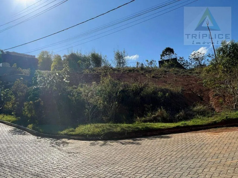 Loteamento e Condomínio, 402 m² - Foto 3