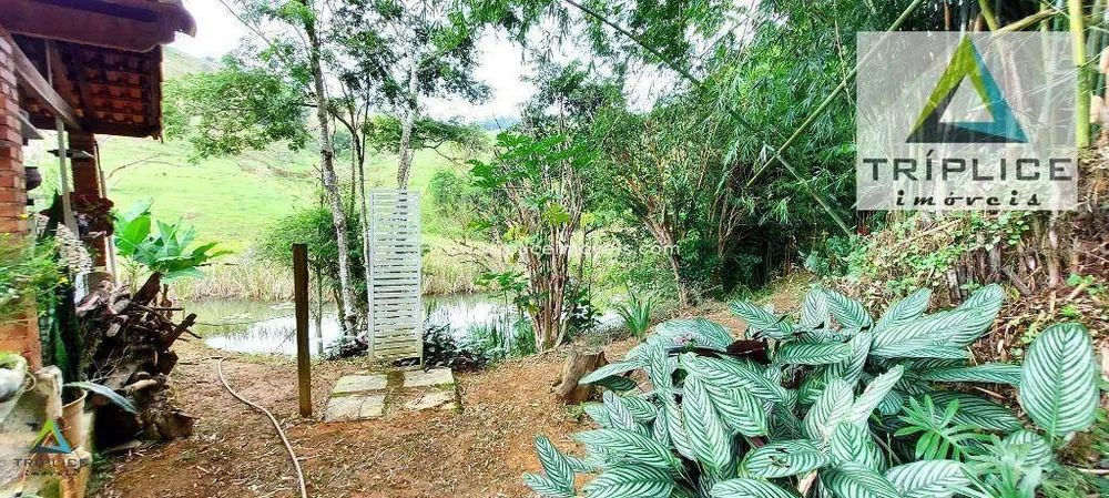 Chácara, 3 quartos, 2 hectares - Foto 7