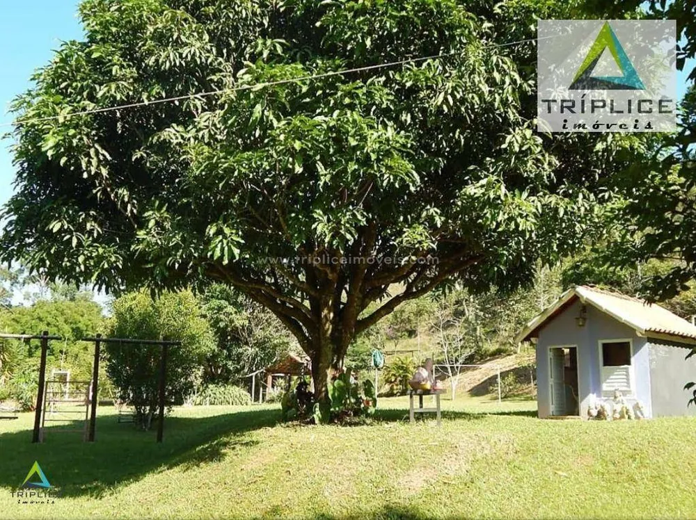 Chácara, 3 quartos, 2 hectares - Foto 12