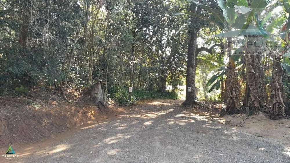 Sítio, 2 quartos, 10000 m² - Foto 10