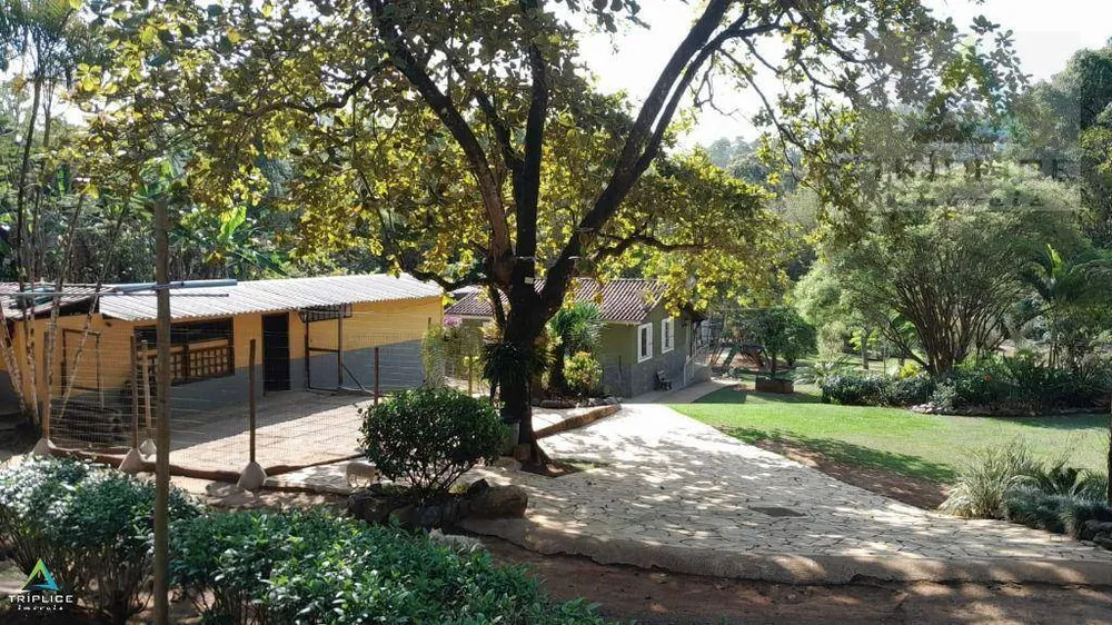Sítio, 2 quartos, 10000 m² - Foto 4